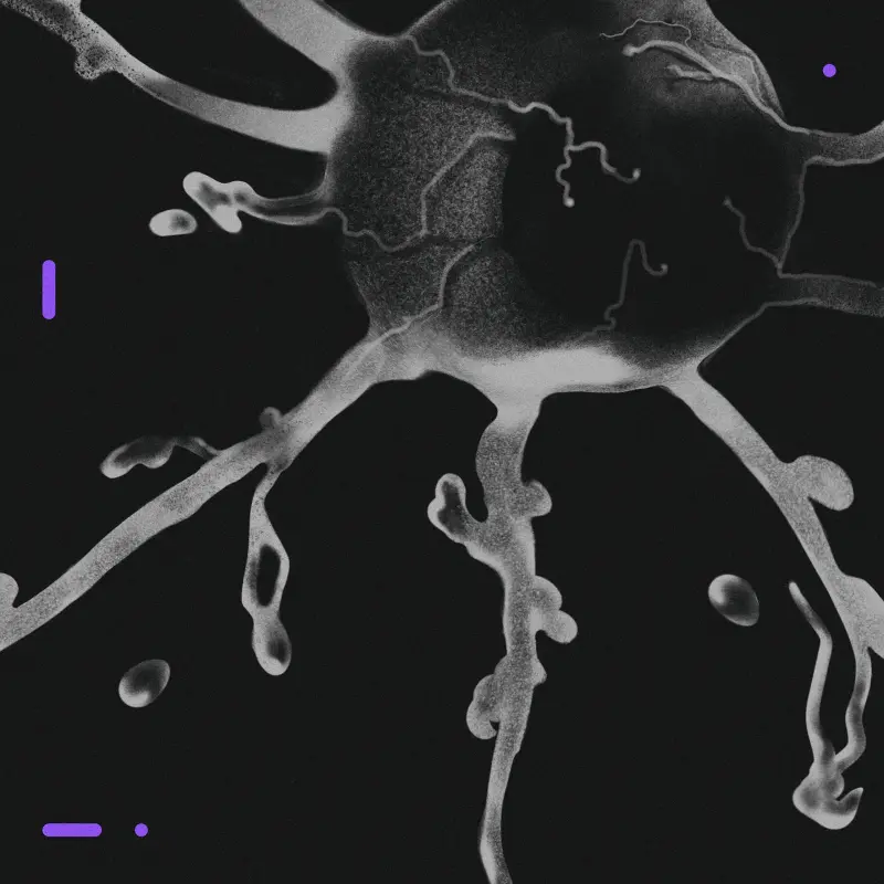 Terra Incognita / BLED